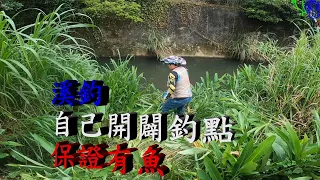 【溪釣】釣點除草開路 大豐收 前人種樹後人乘涼 福報自然來