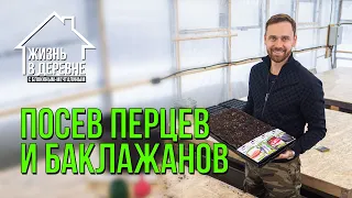 Посев перцев и баклажанов зимой сразу в теплицу