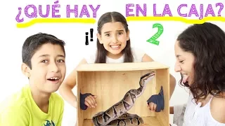 ¿QUÉ HAY EN LA CAJA? 2 EXTREMO / WHAT'S IN THE BOX CHALLENGE - Gibby :)