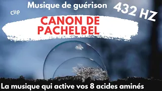 Video clip du canon pachelbel 432 hertz ; la musique qui active 8 acides aminés essentiels