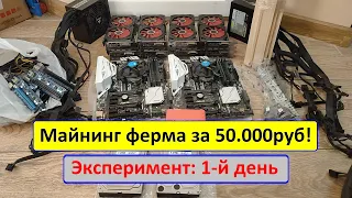 Собираю ферму за 50.000руб! Эксперимент: 1-й день! Первые шаги, и первые проблемы(