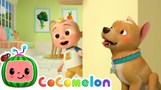 Where is BINGO? | CoComelon Animal Time | Animal Nursery Rhymes