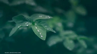 Tips For Hiking In The Rain: Stay Comfortable In Wet Weather Hiking