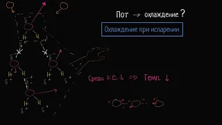 Почему пот охлаждает тело? (видео 4) | Биологическая роль воды | Биология