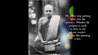 Venerable Ajahn Chah - Unshakeable Peace (Part 2) - Theravada Forest Tradition