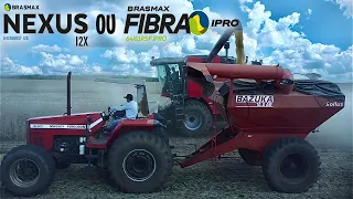 FIBRA VS NEXUS, QUAL PRODUZIU MAIS??? ||RESULTADOS DOS TESTES SAFRA 23/24