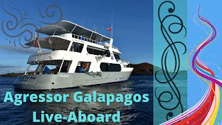 Galapagos Aggressor Live Aboard | Video courtesy of the Crew￼ | Worth every penny spent