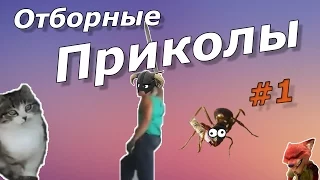 Отборные Приколы #1. Лучшие приколы. Март 2017.