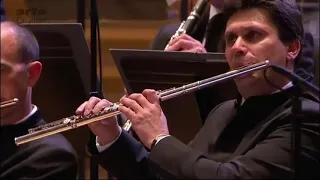 BRAHMS - 1st Symphony (IV mov.) - Flute Solo (Lucas)