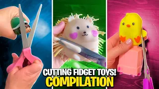 Cutting Fidget Toys! ✂️ *COMPILATION* Mrs. Bench