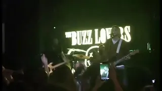 The Buzz Lovers - Come As You Are (Live)