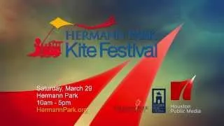 Kite Festival Final7