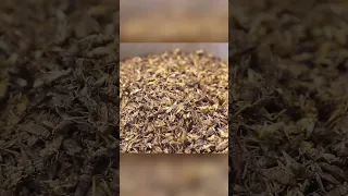 Cricket flour. How is it made and where can you find it?