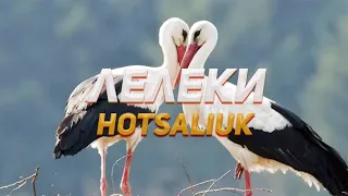 Hotsaliuk - Лелеки