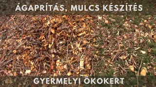 Ágdarálás, mulcs készítés