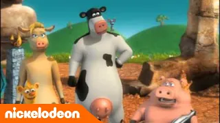 La Ferme en folie | La cérémonie Porc | Nickelodeon France