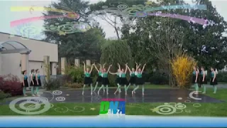 Winx Fairy Dance 2 - Dna Danza La Danza Dalla A Alla Z - Winx Harmonix