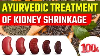 Ayurvedic Treatment Of Kidney Shrinkage
