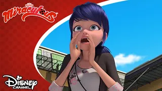 🐞 A betegség | Miraculous | Disney Csatorna