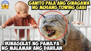 GANITO PALA ANG GINAGAWA NG MUSANG TUWING GABI NATAHIMIK ANG PAMILYA NANG MALAMAN ANG DAHILAN