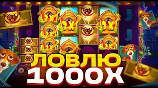 ЗАКРЫЛ СОБАК НА 1000X ЗА СПИН В DOG HOUSE MEGAWAYS! Я ТАКОГО НИКОГДА НЕ ЛОВИЛ | ЗАНОС ГОДА DOG HOUSE