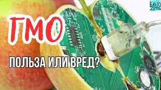 ГМО - польза или вред?  Как он влияет на ДНК и продукты содержащие ГМО.