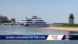 Heightened concerns after shark sightings reported in bay