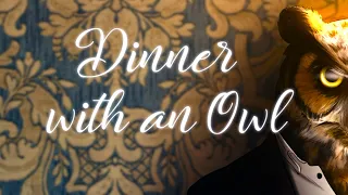 Прохождение➤Dinner with an Owl - А Я ДУМАЛА СОВА... (ПОЛНОЕ ПРОХОЖДЕНИЕ) 🦉