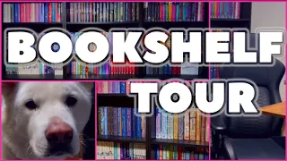 BOOKSHELF TOUR ~ library room tour, filming set up, and a surprise appearance from my dog 🐶