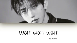 Cai Xukun (蔡徐坤) - Wait Wait Wait Lyrics