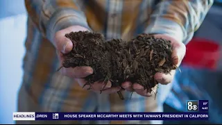 Local funeral director speaks on human composting option in Nevada