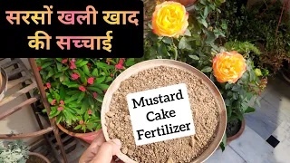 सरसों खली फ़र्टिलाइज़र कब कैसे कितना इस्तेमाल करें, All About Mustard Cake Liquid Fertilizer