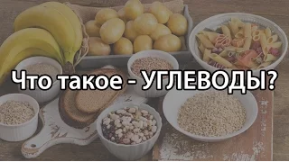 Что такое углеводы (в каких продуктах содержатся углеводы)