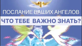 ПОСЛАНИЕ ТВОИХ АНГЕЛОВ: ЧТО ТЕБЕ  ВАЖНО ЗНАТЬ 👀🕊🌠🔮