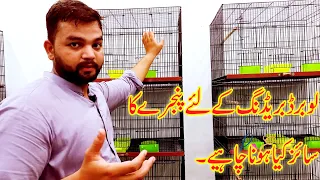 Complete Guide about Best Cage Size For Love Birds Breeding | Ideal Cage size For Love Bird|