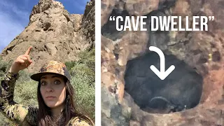 BEDDED IN A CAVE!! SHOT FIRED! | NM Ibex Archery Hunt 2 | Hunt Series EP.17