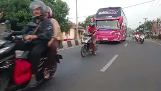 ngoyod queen wolf dari gunung jati cirebon