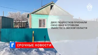 Двое подростков признали свою вину в тройном убийстве в Омской области