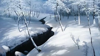 Завораживающие  зимние пейзажи  и волшебная музыка зимы.