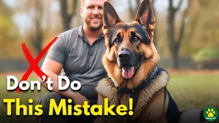 3 Things Everyone Should Know Before Owning a German Shepherd Dog