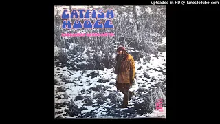 Catfish Hodge - Boogie Man [1972]