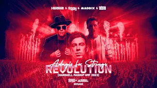 Revolution vs. Adagio For Strings (Hardwell Mashup UMF 2023)