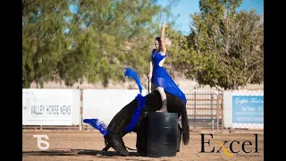 2019 Las Vegas TIP Challenge | Freestyle