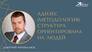 Адизес (Методология). Структура ориентирована на людей. Дмитрий Чичикалюк