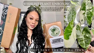 🌿 The Green Escape + Rare Plant Fairy Unboxing |🌿 Wishlist Plant Mail | Plant Haul Houseplant 2024