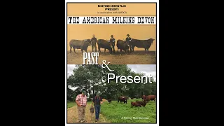 The American Milking Devon: Past & Present