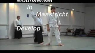 Moonsensei teaching Aikido  in Netherlands-one