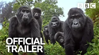 Spy in the Wild: Trailer | BBC Trailers