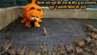 Rat Army & Cat Did An Agreement, Cat Does Not Eat Them So Rat Army Save Cat's Life | Movie in Hindi