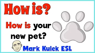 How Is? - English speaking practice (clips #14) | Mark Kulek ESL